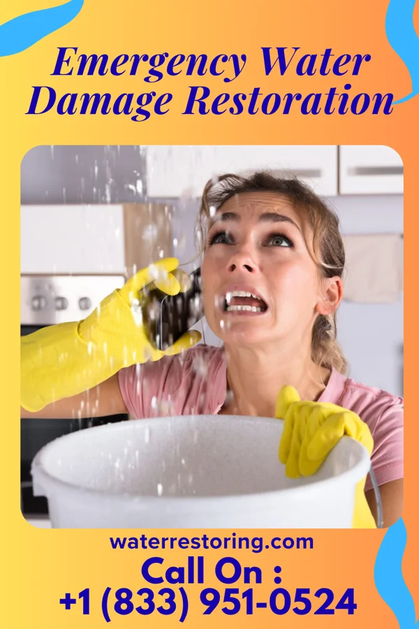 Emergency Water Damage Restoration in Burdett, NY