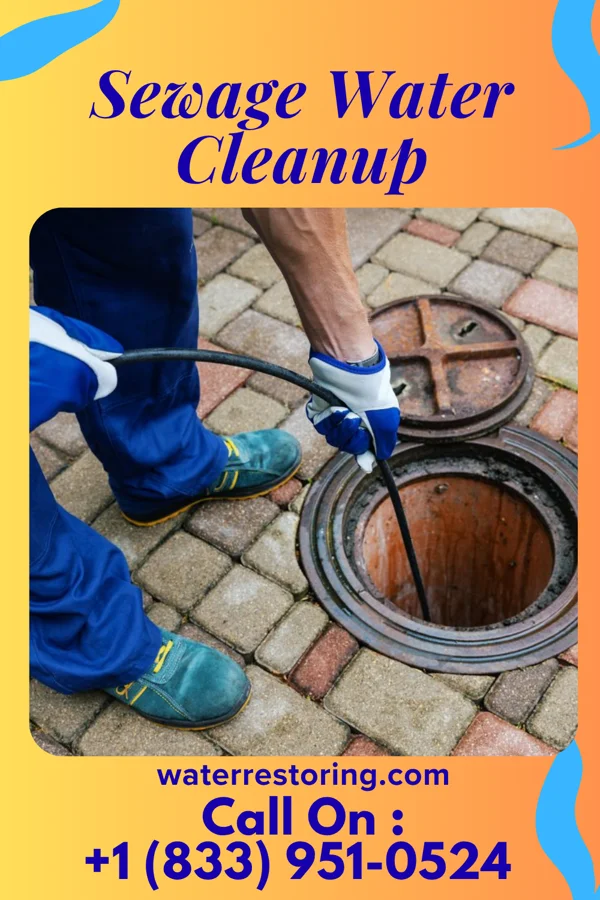 Sewage Water Cleanup in Burdett, NY