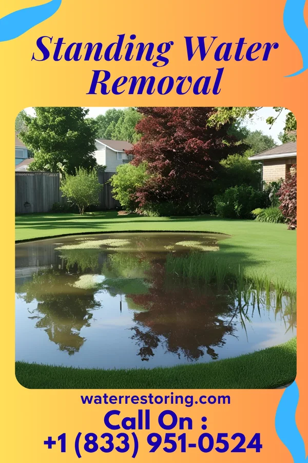 Standing Water Removal in Burdett, NY